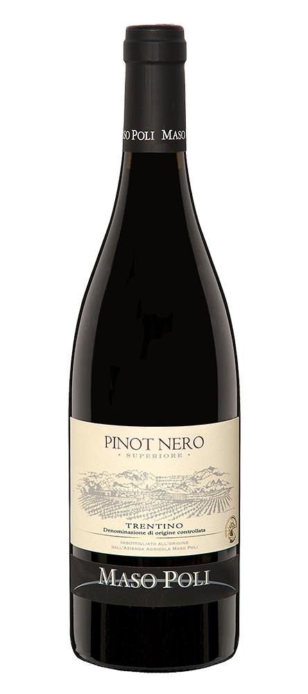 Pinot Nero