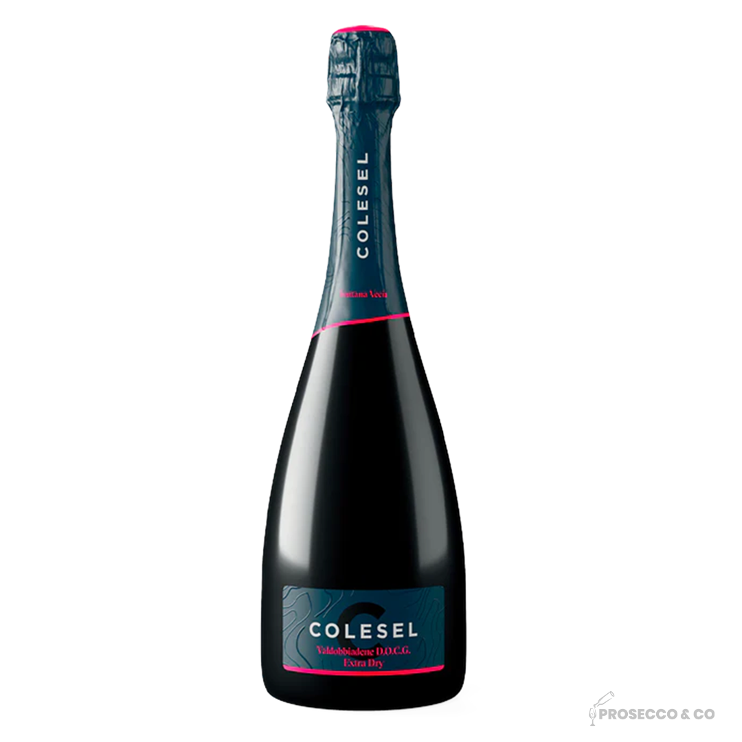 Prosecco Extra Dry Fontana Vecia