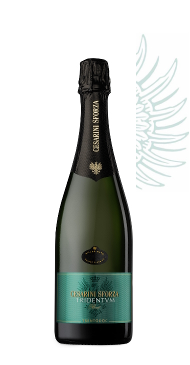 Cesarini Sforza Tridentvm Brut
