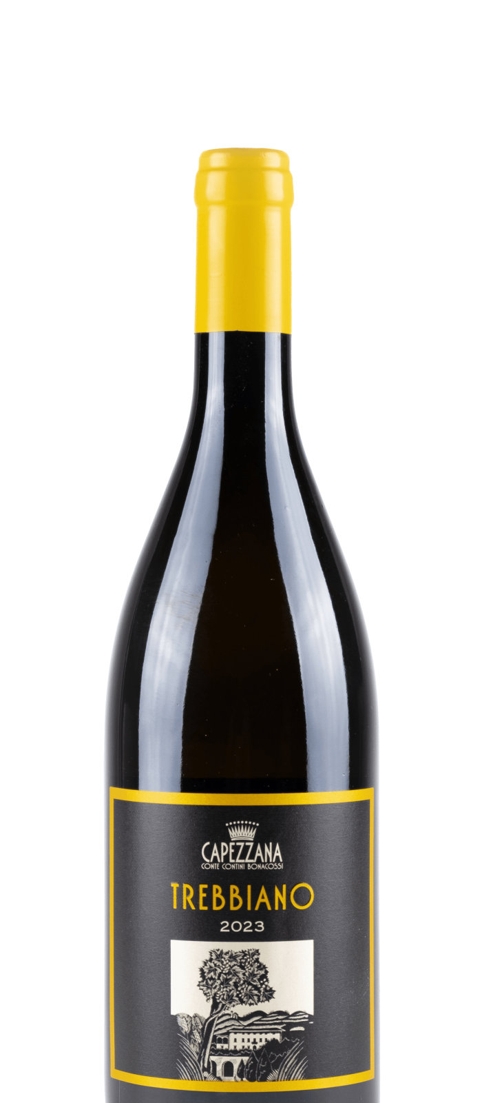 Trebbiano