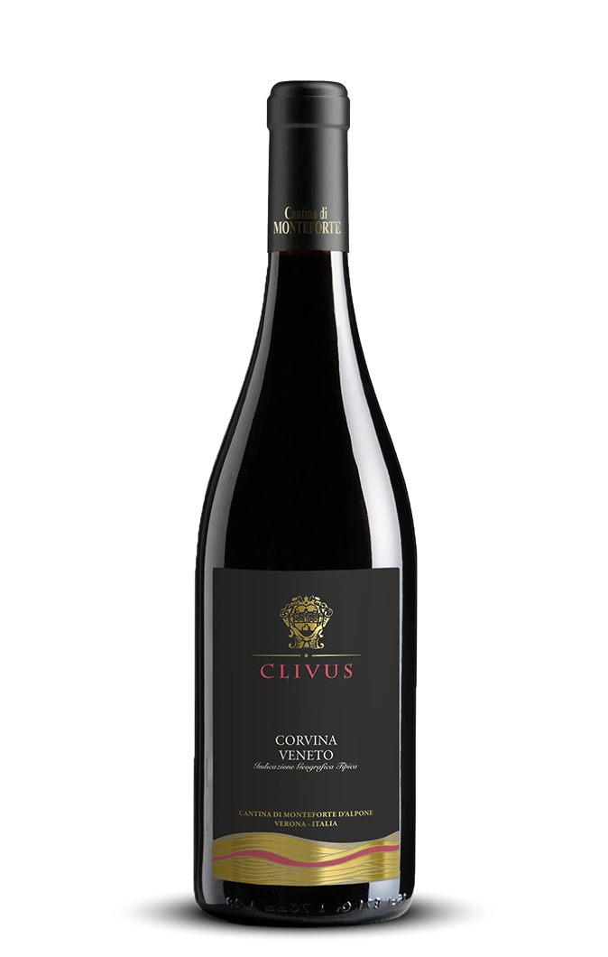 Corvina