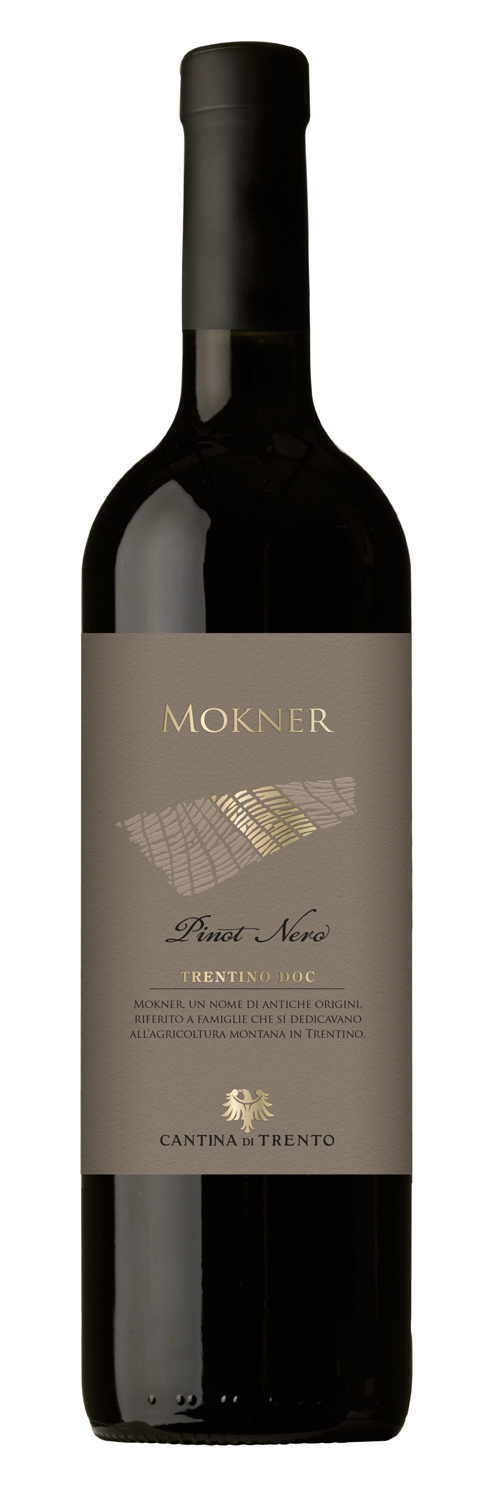 PINOT NERO Mokner Trentino DOC