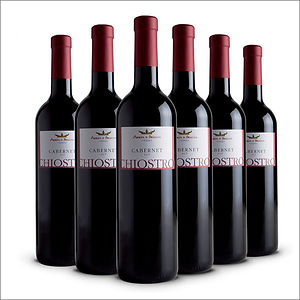 Vino rosso Cabernet Veneto IGT Chiostro bottiglie 6x75 cl