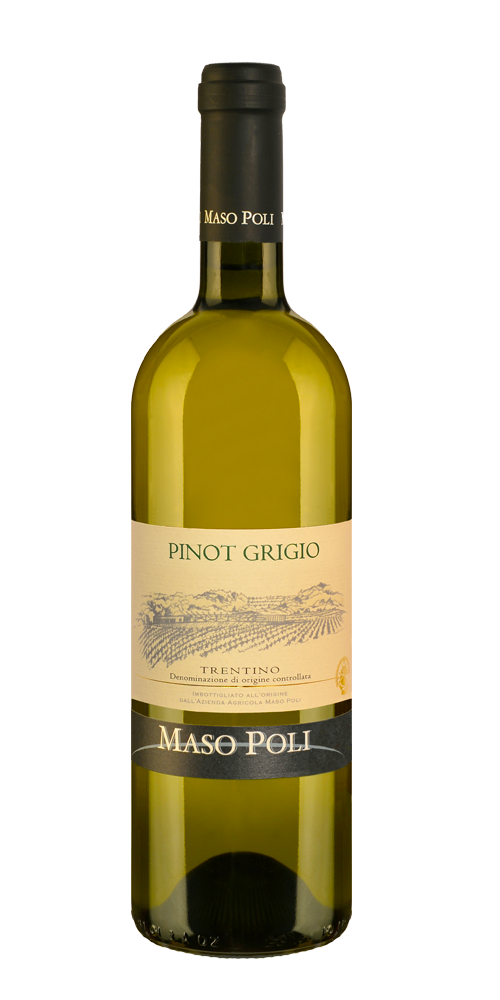 Pinot Grigio