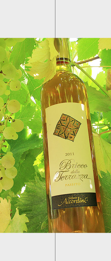 Passito IGT Bricco della Terrazza