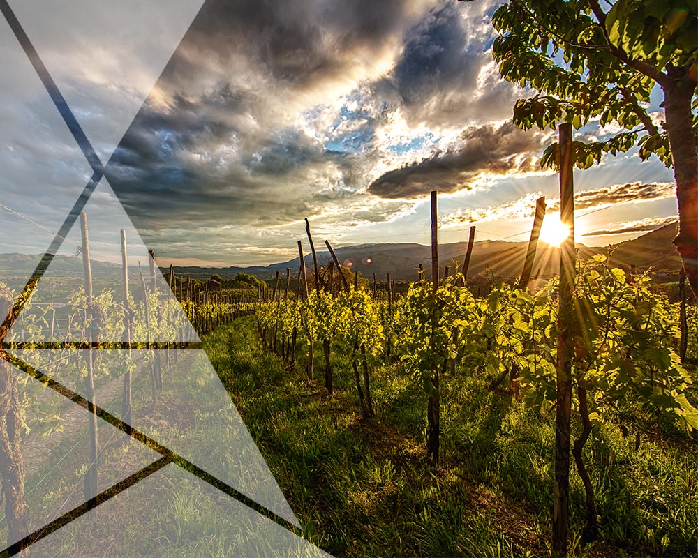 Valdobbiadene Prosecco Superiore DOCG Brut