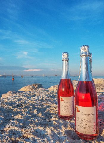 Bagnoli DOC Spumante Rosato Extra Dry Summertime