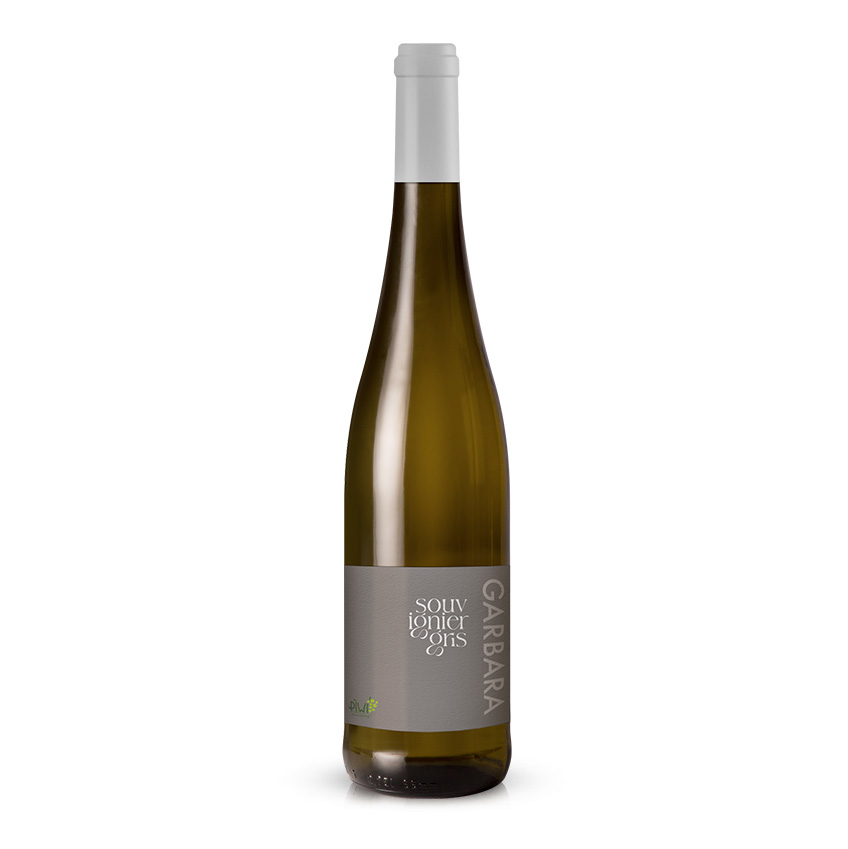 Vino bianco – Souvignier Gris