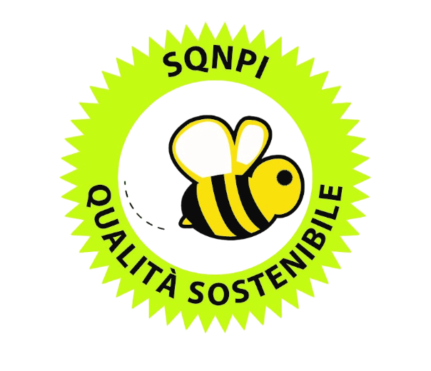 Trebbiano
