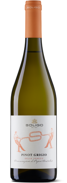 Pinot Grigio
