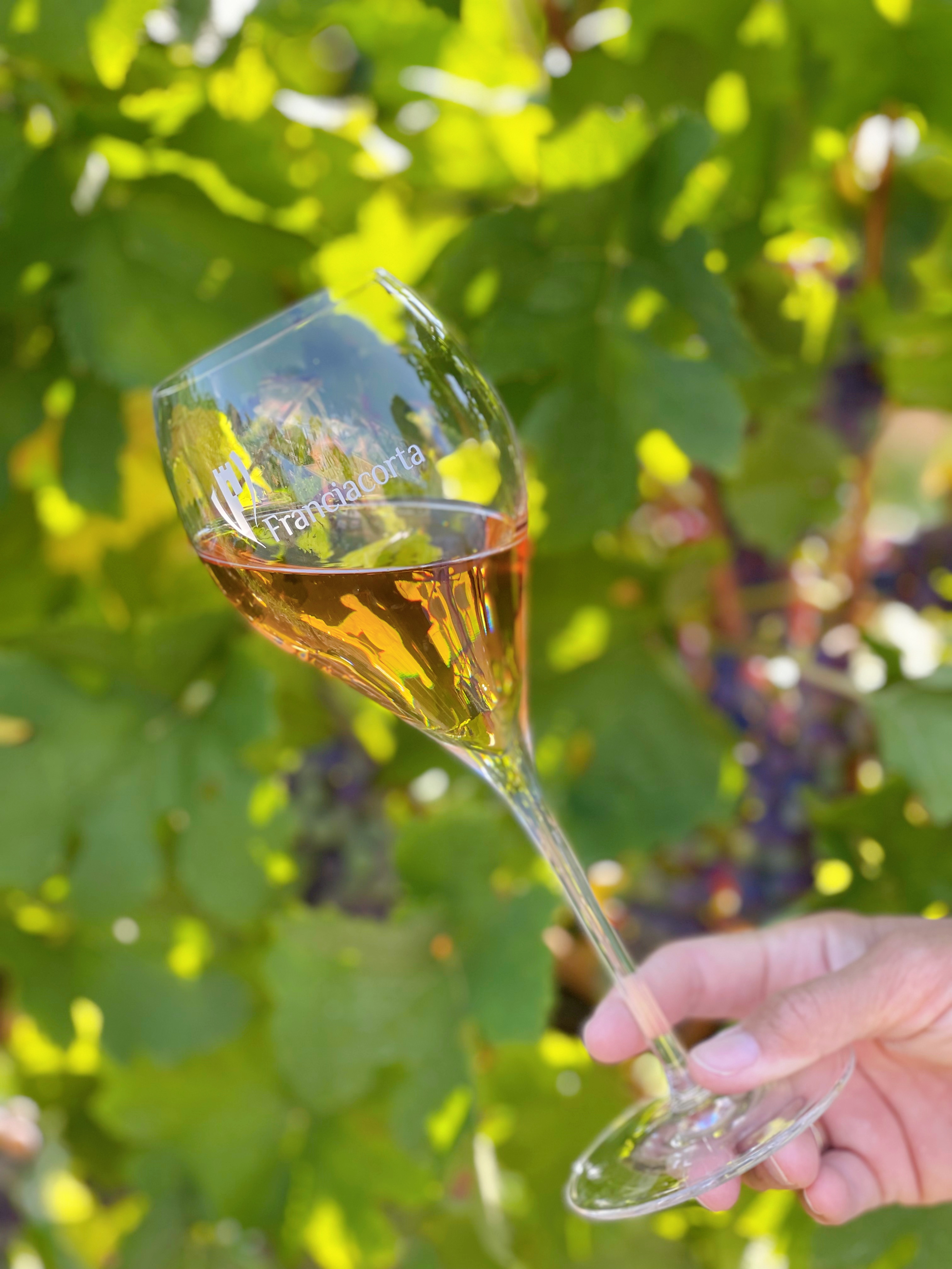 Franciacorta Rosé Zero