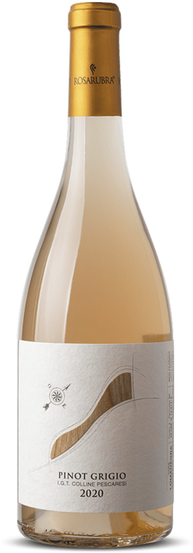 Vigne Lomanegra Pinot Grigio I.G.T. Colline Pescaresi