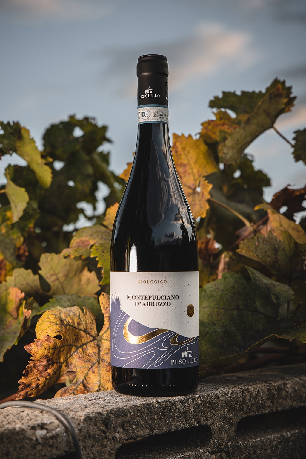 Montepulciano d’Abruzzo DOC