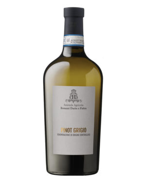 Pinot Grigio Delle Venezie DOC 2024