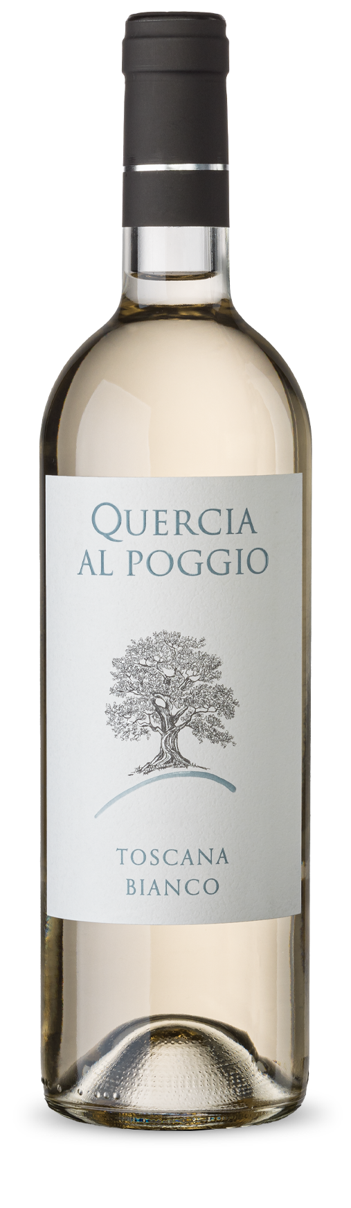 Igt Bianco di Toscana
