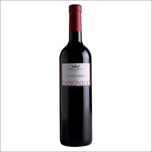 Vino rosso Pinot Nero Veneto IGT Canonico 75 cl