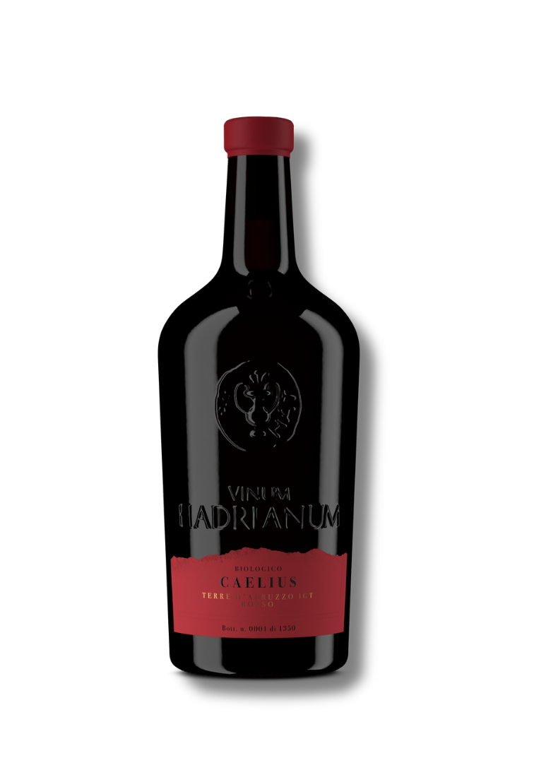 Caelius Terre d' Abruzzo Rosso IGT 2025
