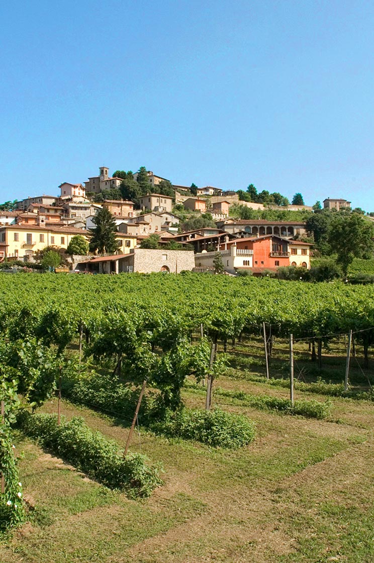 La Franciacorta