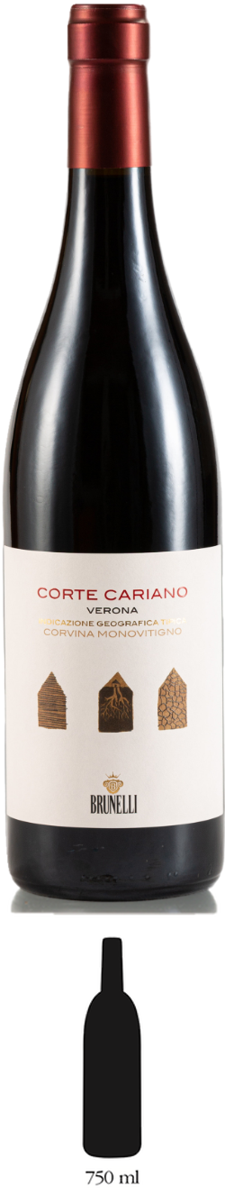 CORTE CARIANO Verona IGT | Corvina
