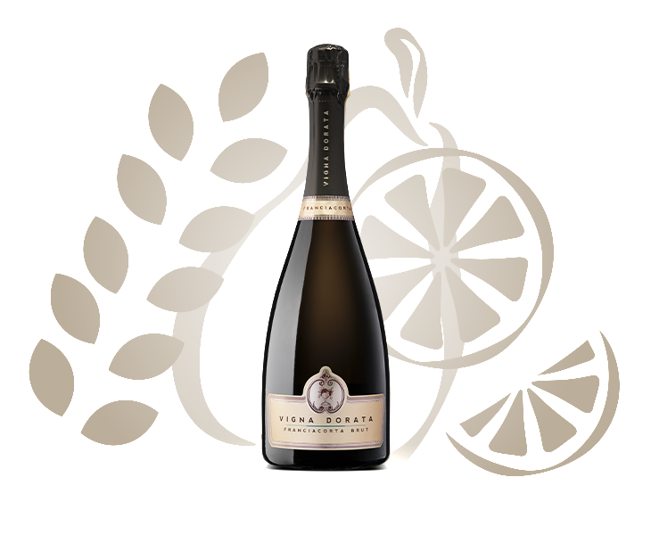 Franciacorta Brut