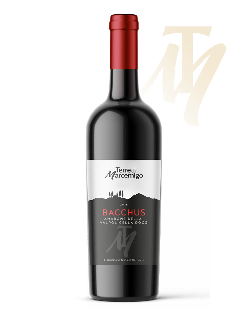 Bacchus | Amarone della Valpolicella DOCG
