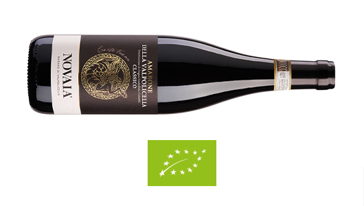 Amarone della Valpolicella DOCG Classico “Corte Vaona”
