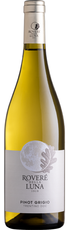 Pinot Grigio