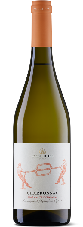 Chardonnay