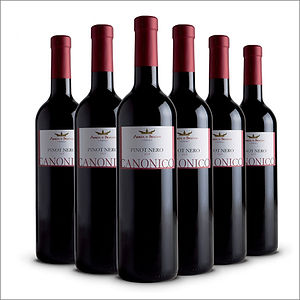 Vino rosso Pinot Nero Veneto IGT Canonico bottiglie 6x75 cl