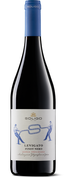 “Levigato” Pinot Nero