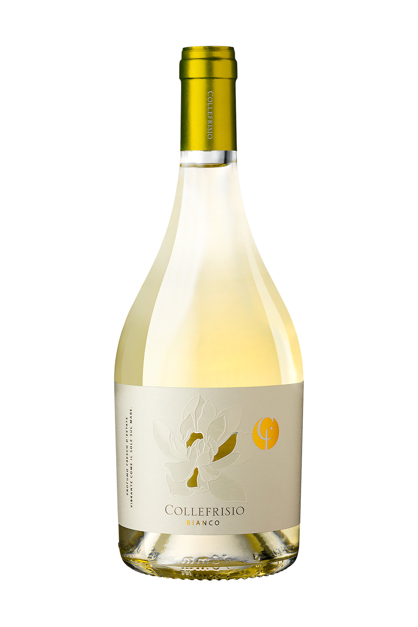 Magnolia – Bianco