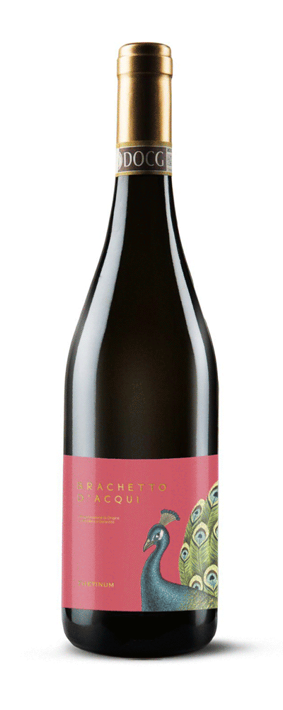 BRACHETTO