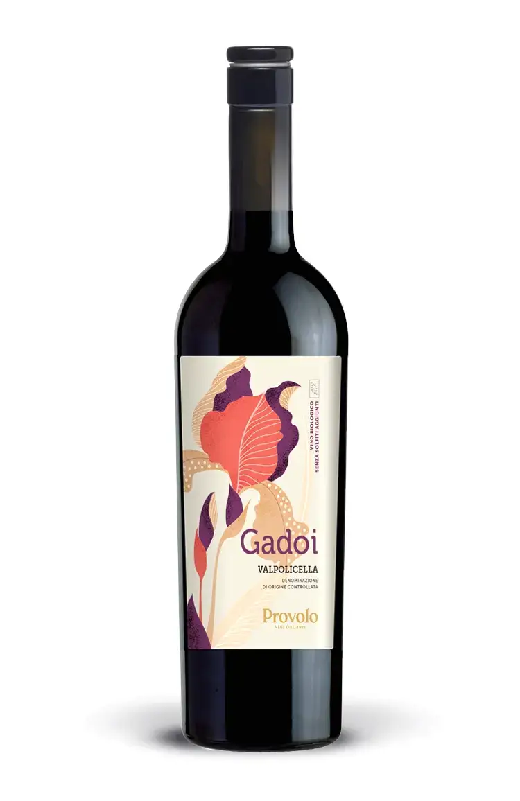 Gadoi Valpolicella DOC