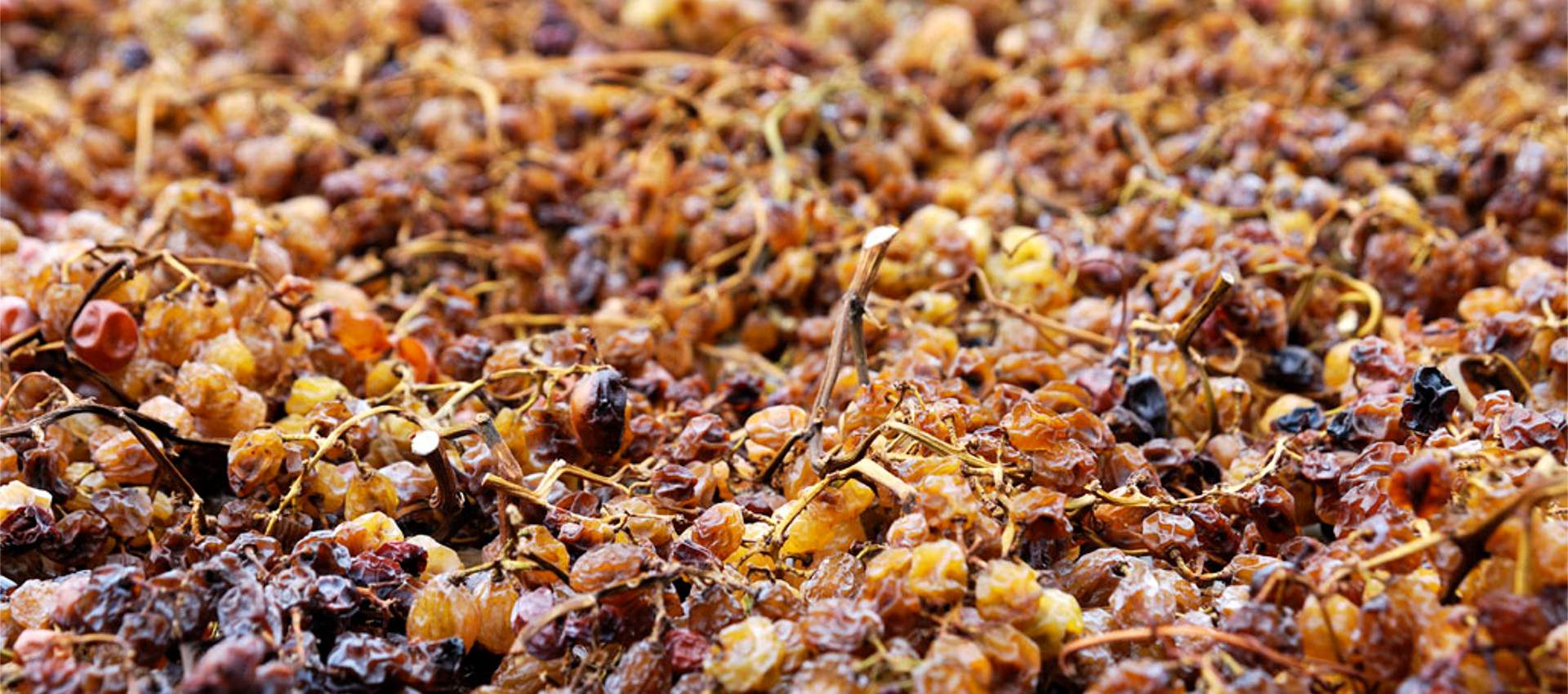 acinidoro bianco igt veneto passito