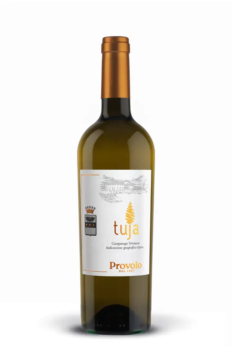 Tuja Garganega Veronese