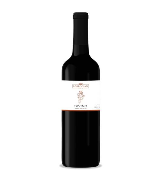 Divino Bianco Veneto IGT 2025
