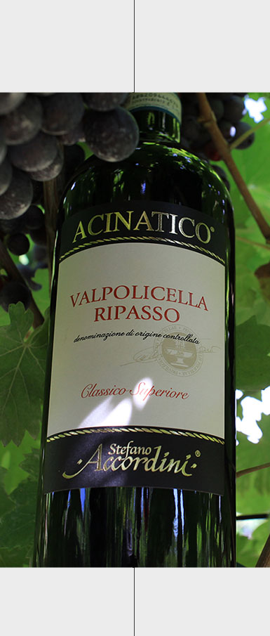 Valpolicella Classico Superiore Ripasso DOC