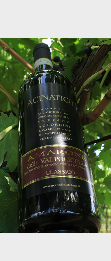 Amarone della Valpolicella Classico DOCG
