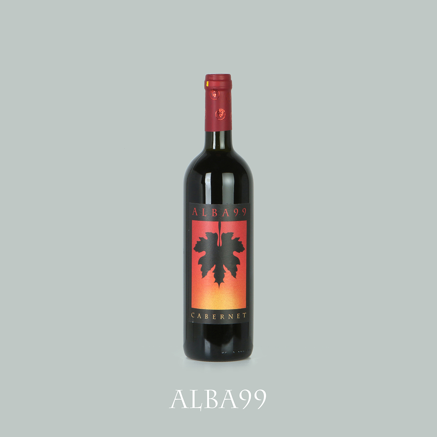 Cabernet IGT Marca Trevigiana “Alba '99”
