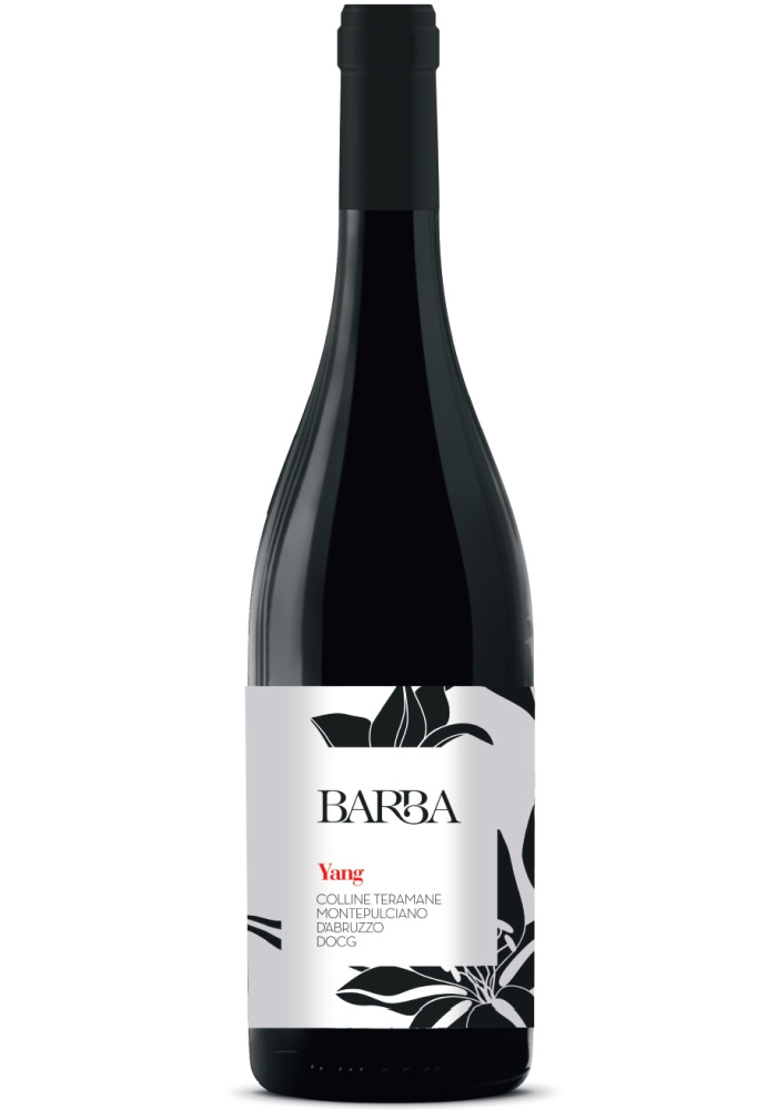 Montepulciano d’Abruzzo Yang DOCG Colline Teramane