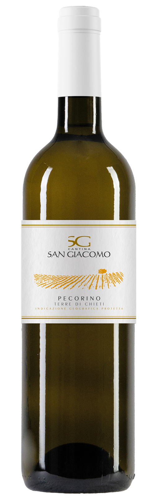 Pecorino terre di Chieti IGT