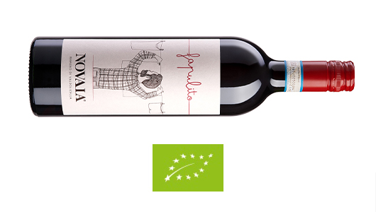 Valpolicella DOC Classico “FAPULITO” no added sulfites