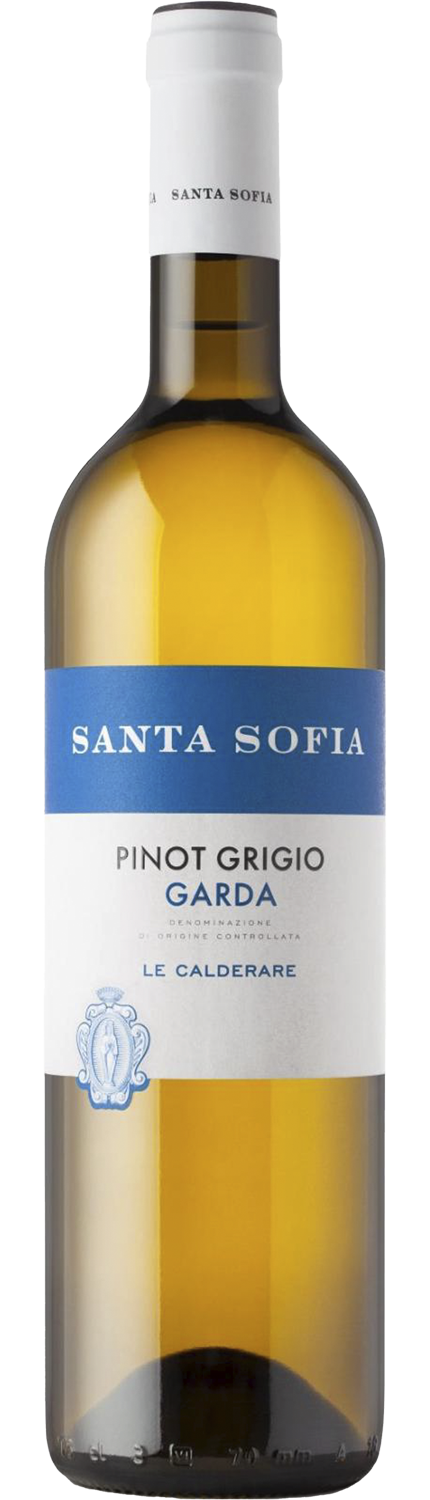 PINOT GRIGIO