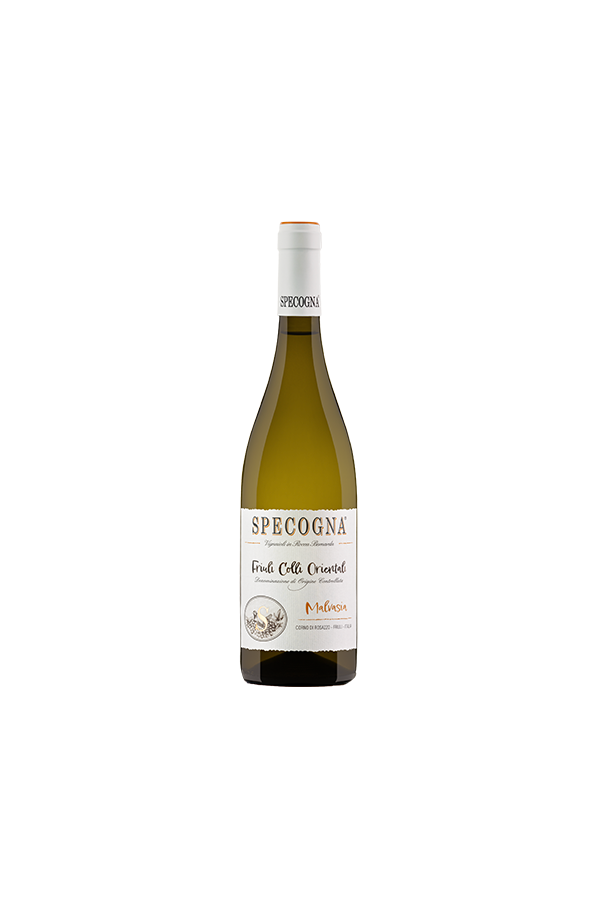 Malvasia